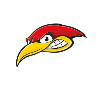 Woodpeckers e.V. Amt Wachsenburg